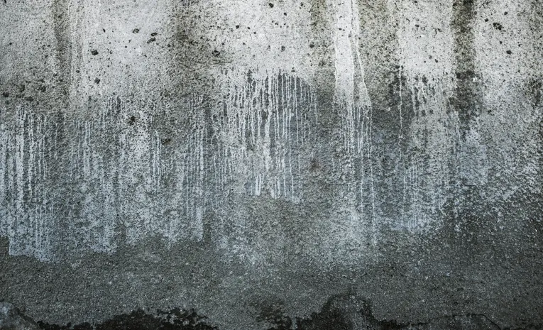 Weathered wall showing signs of damp and moisture